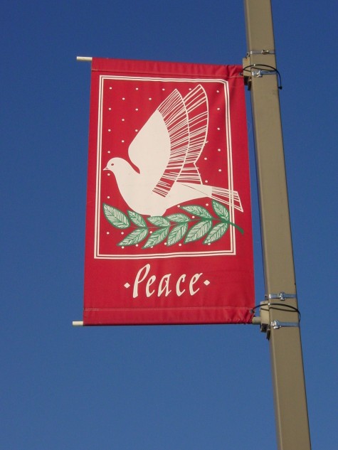 Dove Banner