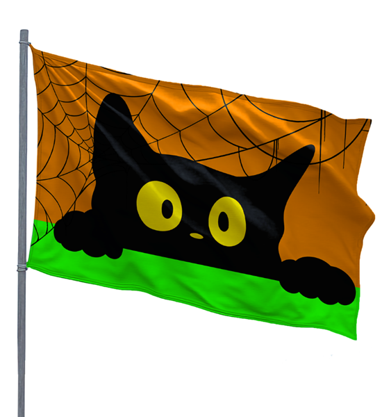 Curious Cat 3x5ft Nylon Flag 1