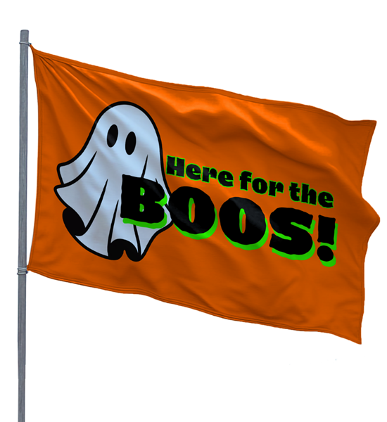 Here for the Boos 3x5ft Nylon Flag 1