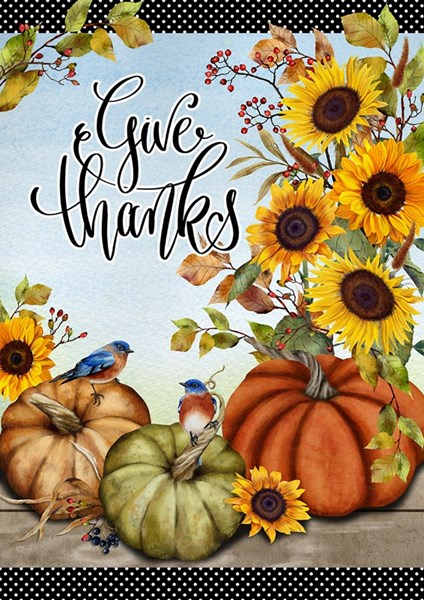 Give Thanks Pumpkins 28x40in House Flag