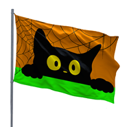 Curious Cat 3x5ft Nylon Flag 1